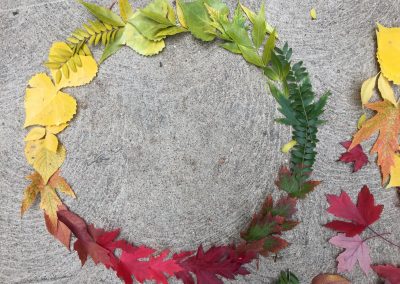 Autumn Color Wheel