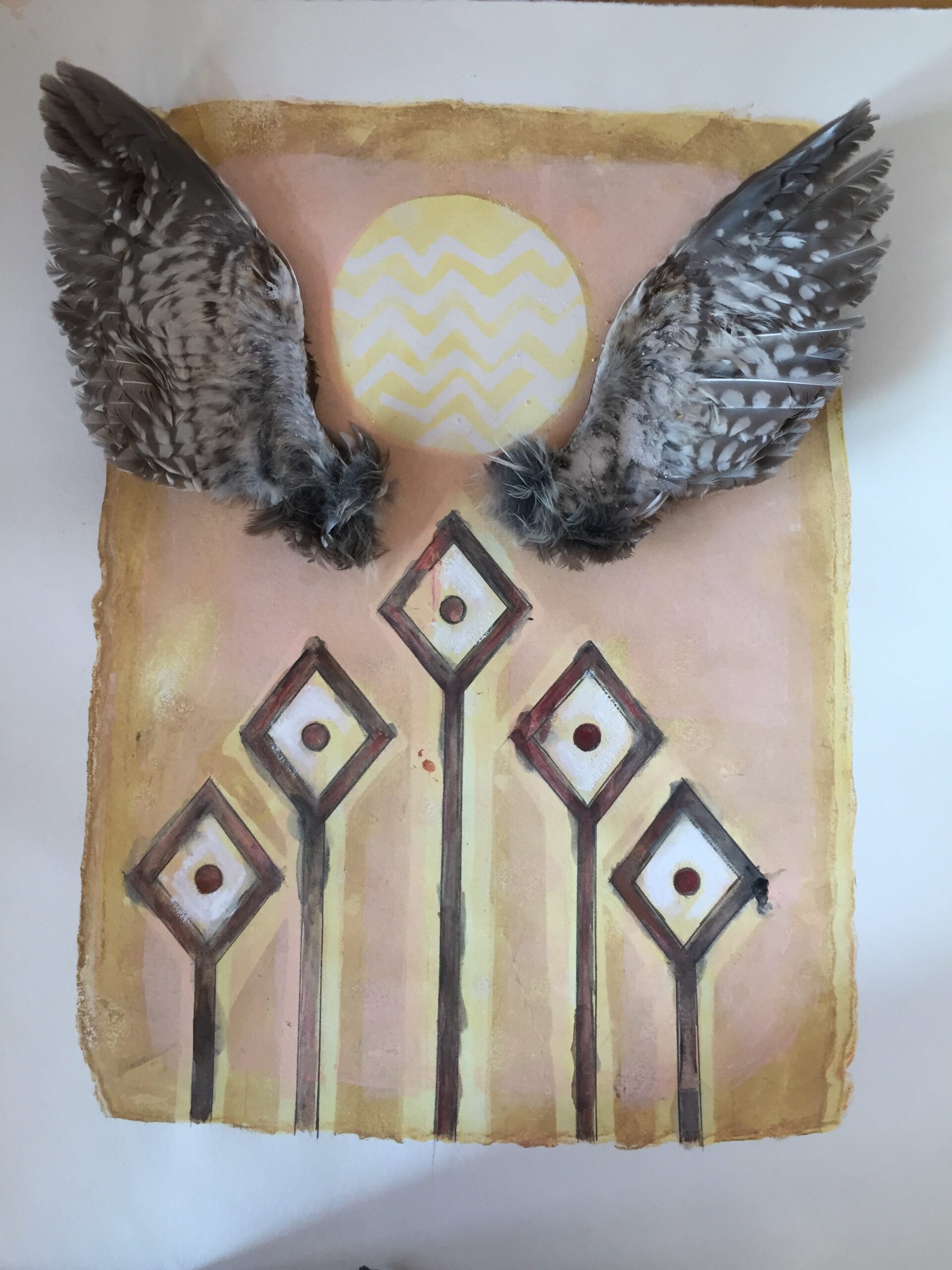 owl wing study