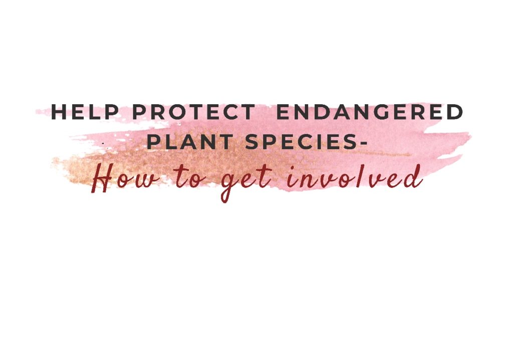 HELP PROTECT  ENDANGERED PLANT SPECIES- How to get involved