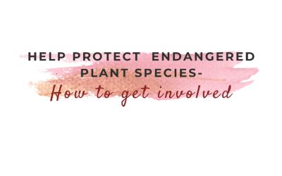 HELP PROTECT  ENDANGERED PLANT SPECIES- How to get involved